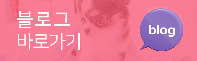 이미지명