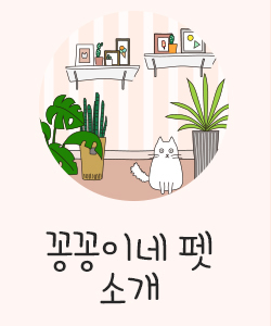 이미지명